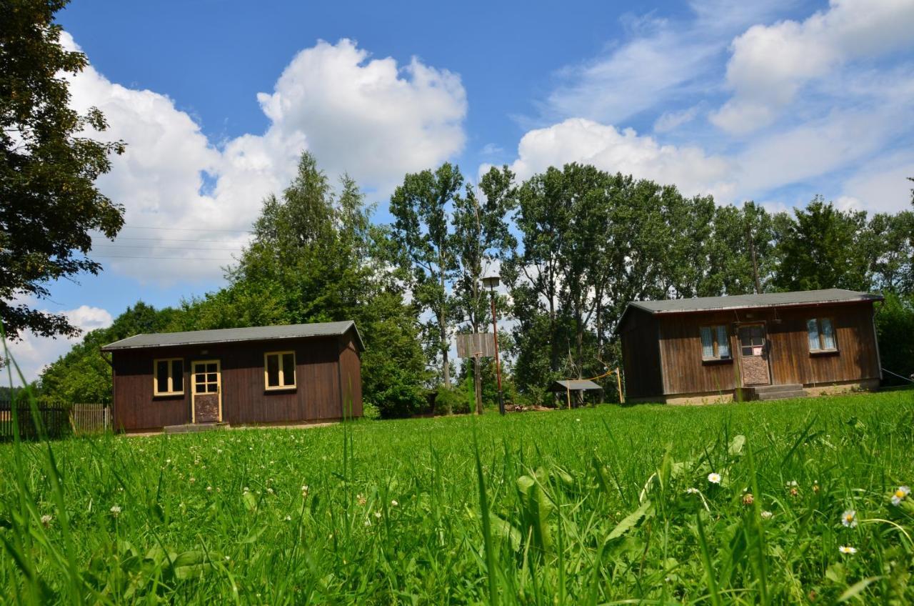 Albergue Teichcamp Grosshartmannsdorf Exterior foto